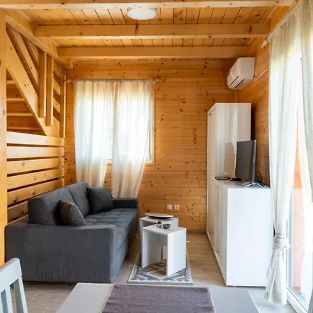 Brvnare Jankovic Apartment