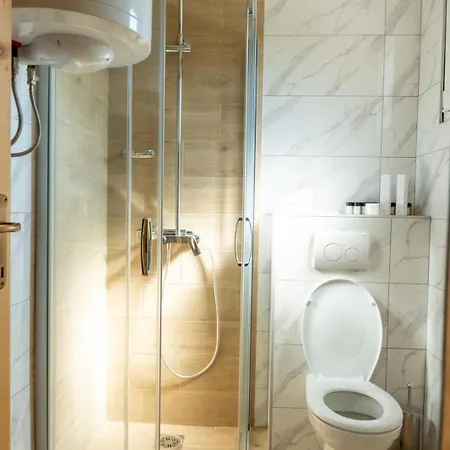 Brvnare Jankovic Apartment